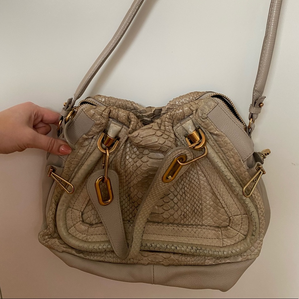 RARE Chloe Paraty Python Small Purse